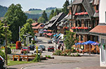 Michelthomilishof in Hinterzarten